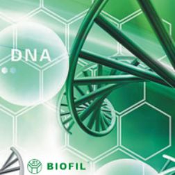 محصولات کمپانی Jetbiofil- شرکت مبین طب