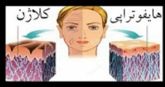 امور ثبتی, اخذ جواز و کد اقتصادی